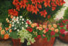 pots in the garden